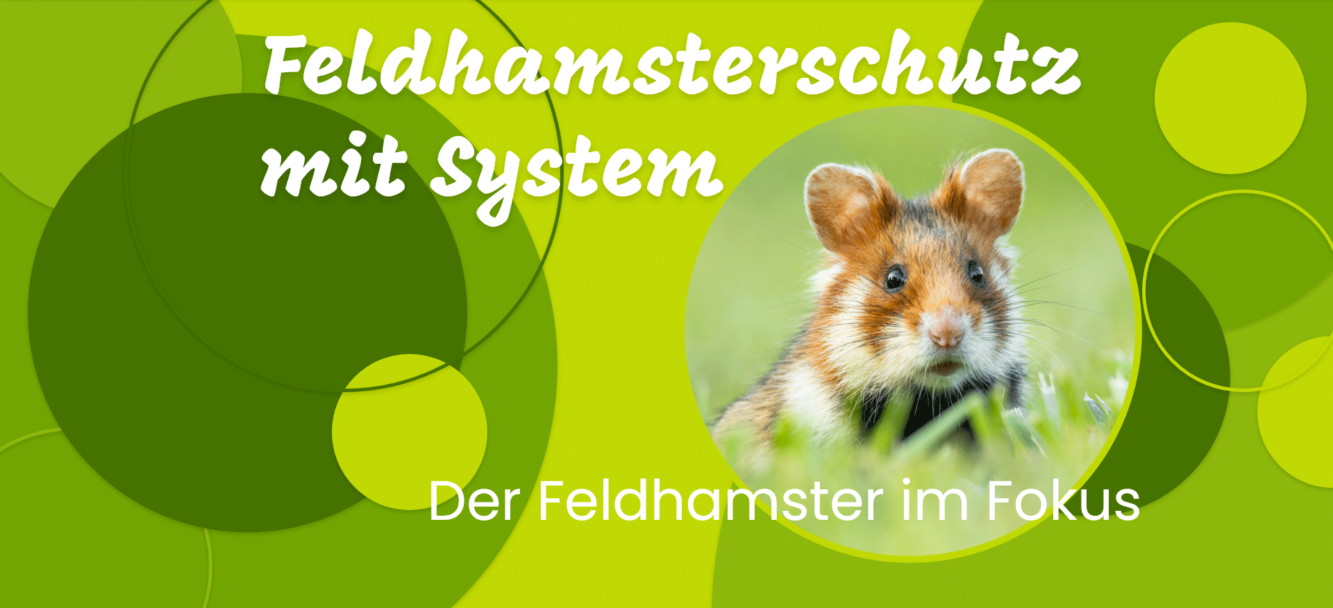 feldhamsterschutzzaun mit system